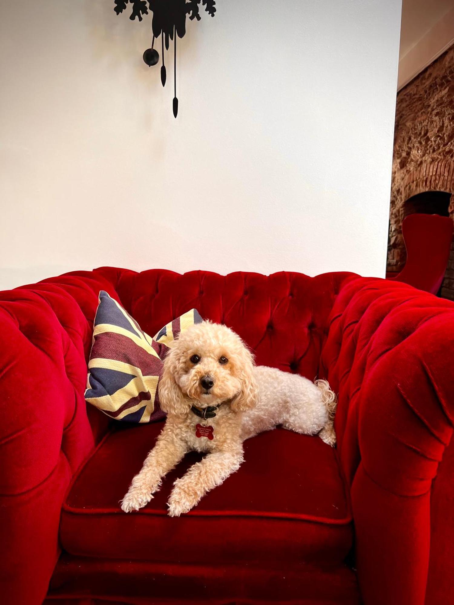 Bed and Breakfast Brightham House - Exclusively For Adults Salcombe Exteriér fotografie