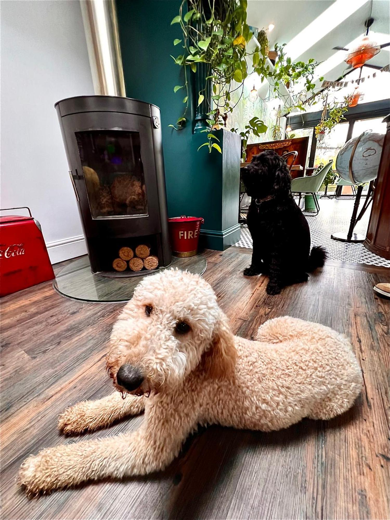 Bed and Breakfast Brightham House - Exclusively For Adults Salcombe Exteriér fotografie