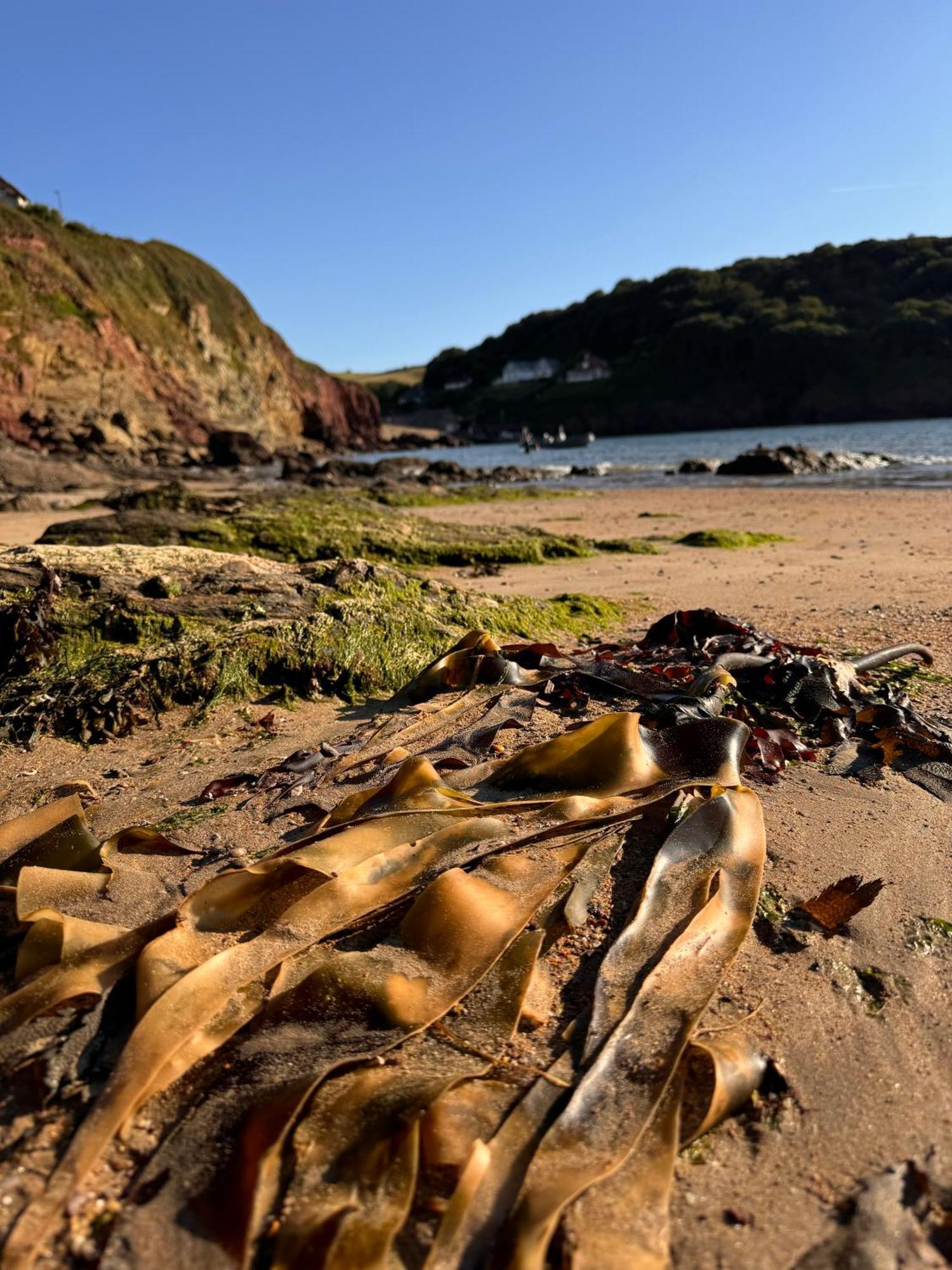 Bed and Breakfast Brightham House - Exclusively For Adults Salcombe Exteriér fotografie